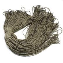 Sznurek Paracord, Poliester i Spandex, Paski, do Robienia Bransoletek, Ciemny Oliwkowy, 2mm, 100m/wiązka (13WB29425)