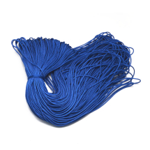 Sznurek Paracord Poliester i Spandex 16 Żylny do Robienia Bransoletek, Niebieski, 2mm, około 100m/wiązka (13WB29611)