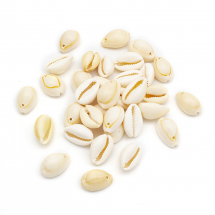 Wisiorek Muszla Kauri, do Rękodzieła i Biżuterii, Beżowy, 17~22x11~16x9~11mm, Otwor 1mm, około 28szt/50g (13WB30945)