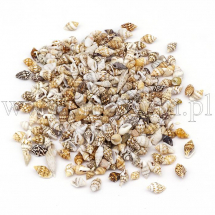 Muszle Morskie, Bez Otworu, Beżowy, 7~12x3~7x3~7mm, około 380szt/50g (14WB5982)