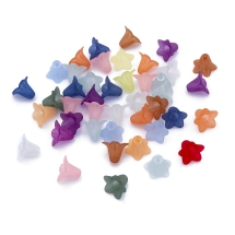 Koraliki Akrylowe, Przezroczyste, Matowy, Kwiat, Kolor: Mieszane, 17.5x12mm, Otwór: 1.5mm, około 38szt/25g (14WB9588)