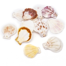 Koraliki Muszelki Morski, Przegrzebek, 32~45x29~42x6~7mm, około 12szt/50g (13WB14009)