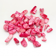 Koraliki Masa Perłowa Rzeki Okruszki, Koral, 8~17x5~7x4~6mm, Otwór 1mm, około 64szt./50g (13WB14010)