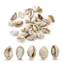 Акрилові Намистини Мушлі, Коричневий, 19.5x12x10мм, Отвір1.8мм, близько 25шт/25г, (13WB24882)