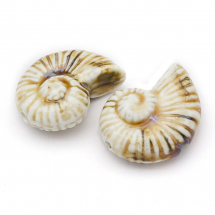 Koraliki Porcelanowe Ślimak Morski Antyczna Szkliwiona Porcelana 39x30x16.5mm 2szt (13WB27226)