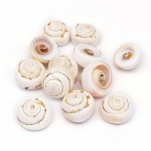 Korale Naturalna Muszla Oko Shivy, Beżowe, 17-20x6-13mm, Otwór 1mm, około 12szt/50g (13WB27745)