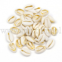 Muszla Morska Kauri bez Otworu, Papaja, 18-20x13-14x6-8mm, 40szt/50g (13WB27752)