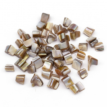 Koraliki z Rzeczne Masy Perłowej, Jasny Khaki, 5-10x8-12x9-10mm, Otwór 0.8-1mm, około 52szt/50g, (13WB27776)