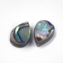 Koraliki z Masy Perłowej Abalone/Paua Kropla Niepomalowane 12x8x3.5-4mm Otwór 1mm 2szt(13WB27780)