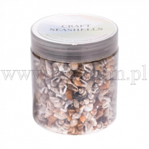 Muszle Morskie, Bez Otworu, Beżowy, 7-12x3-7x3-7mm, 1400szt/słoik (13WB27788)