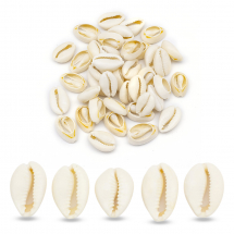 Морські Ракушки Каурі, Кремово-Білі, 20-28х15-20х8-9мм, без Отвору, близько 26шт/50г (13WB27805)