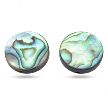 Koraliki Masa Perłowa Abalon/Paua Naturalny, Dysk, 14.5x3.5mm, Otwór: 1mm, 2szt (13WB27828)
