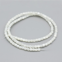 Koraliki Naturalne z Muszli Mięczaka, Kolumna, Biały, 3.5x3.5mm, około 109szt/37cm/sznur (13WB27833)