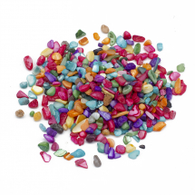 Koraliki z Muszli Rzecznych, Siekanka, Barwione, Bez Otworu, Mix,39x14mm, 50g (13WB14892)