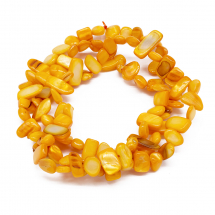 Намистини Річковий Перламутр Самородок, Пофарбовані, Яскраво-Помаранчевий, 6-25x4-14x3-7мм, Отвір 1мм, близько 96-100шт/80см/нитка, (13WB18861)