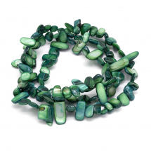 Намистини Річковий Перламутр Самородок, Пофарбовані, Темно-Зелений, 6-25x4-14x3-7мм, Отвір 1мм, близько 96-100шт/80см/нитка, (13WB21536)