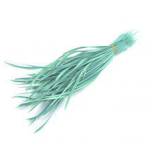 Pióro Gęsie, Turkusowy, 150-265x3-4mm, 100szt/opakowanie (13WB28131)