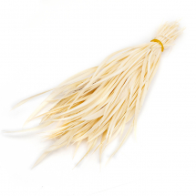 Pióro Gęsie, Brzoskwiniowy, 150-265x3-4mm, 100szt/opakowanie (13WB28133)