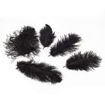 Pióro Dekoracyjne ze Strusia, Czarne, 15~20cm, 5szt/set, (13WB15073)