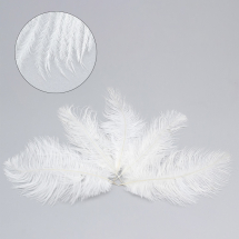 Pióro Dekoracyjne ze Strusia, Białe, 15~20cm, 5szt, (13WB13628)
