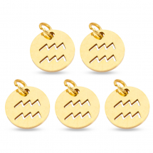 Підвіска Кулон Кругла Нержавіюча Сталь, Знак Зодіаку Водолій, Золото, 12х1мм, Отвір 3мм, (13WB23762)