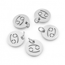 Підвіска, 304 Нержавіюча Сталь, Кругла Плоска, Знак Сузір'я/Зодіаку Рак, Колір: Нержавіюча Сталь, Розмір: 12х1мм, Отвір 3мм, (13WB23770)