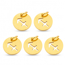 Підвіска Кулон Кругла Нержавіюча Сталь, Знак Зодіаку Стрілець, Золото, 12х1мм, Отвір 3мм, (13WB23777)